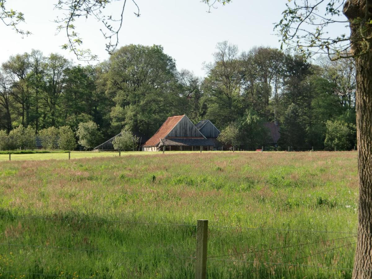 'T Buitenverblijf Erve Punte Losser Exterior photo