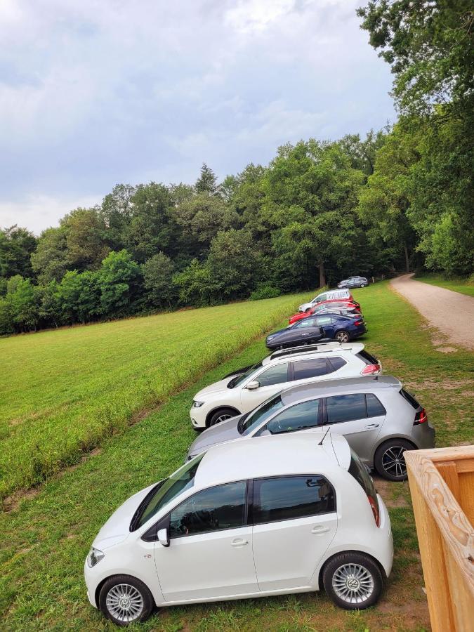 'T Buitenverblijf Erve Punte Losser Exterior photo